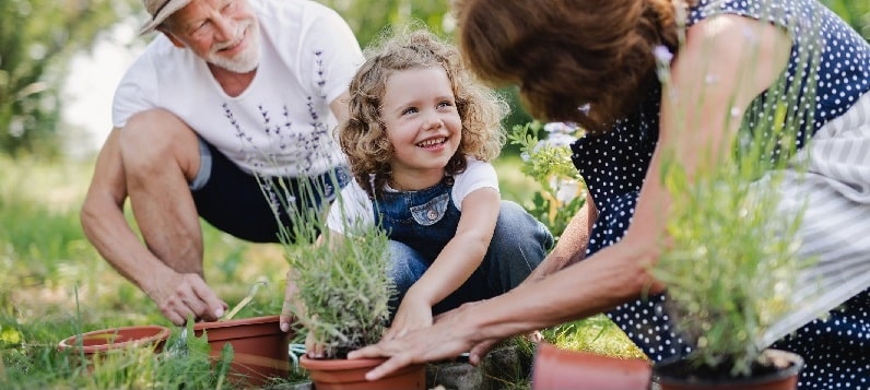 Grandmother and grandfather planting herbs with their grandchild
