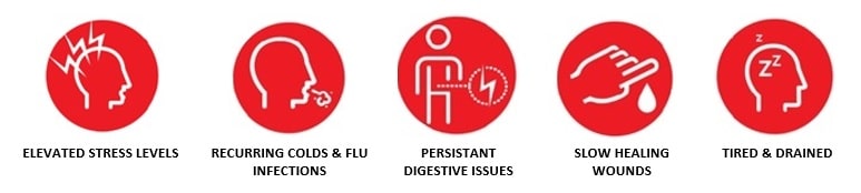 infographic showing the signs of a compromised immune system